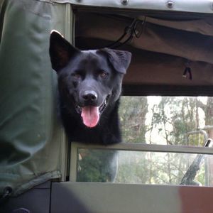 Meet your Posher, Michael